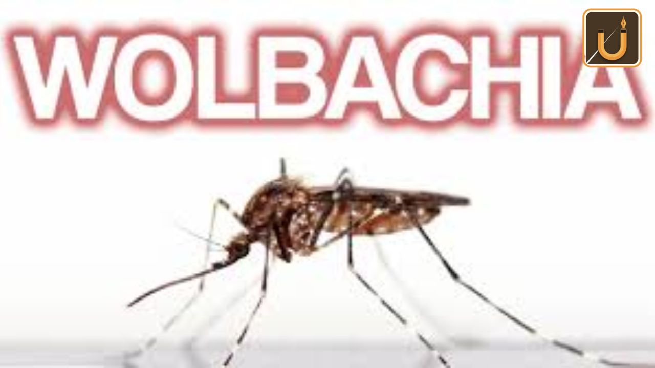Usthadian Academy / Wolbachia | 7 nov 2023 Usthadian Academy / Wolbachia